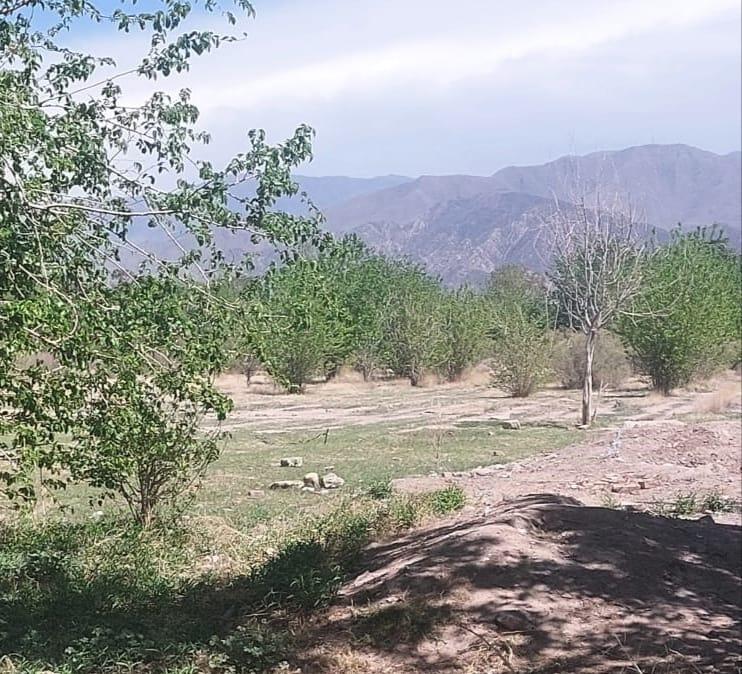 Oportunidad de Inversión en Barrio Privado: Lote de 330 m² en Alta Mendoza 2 3