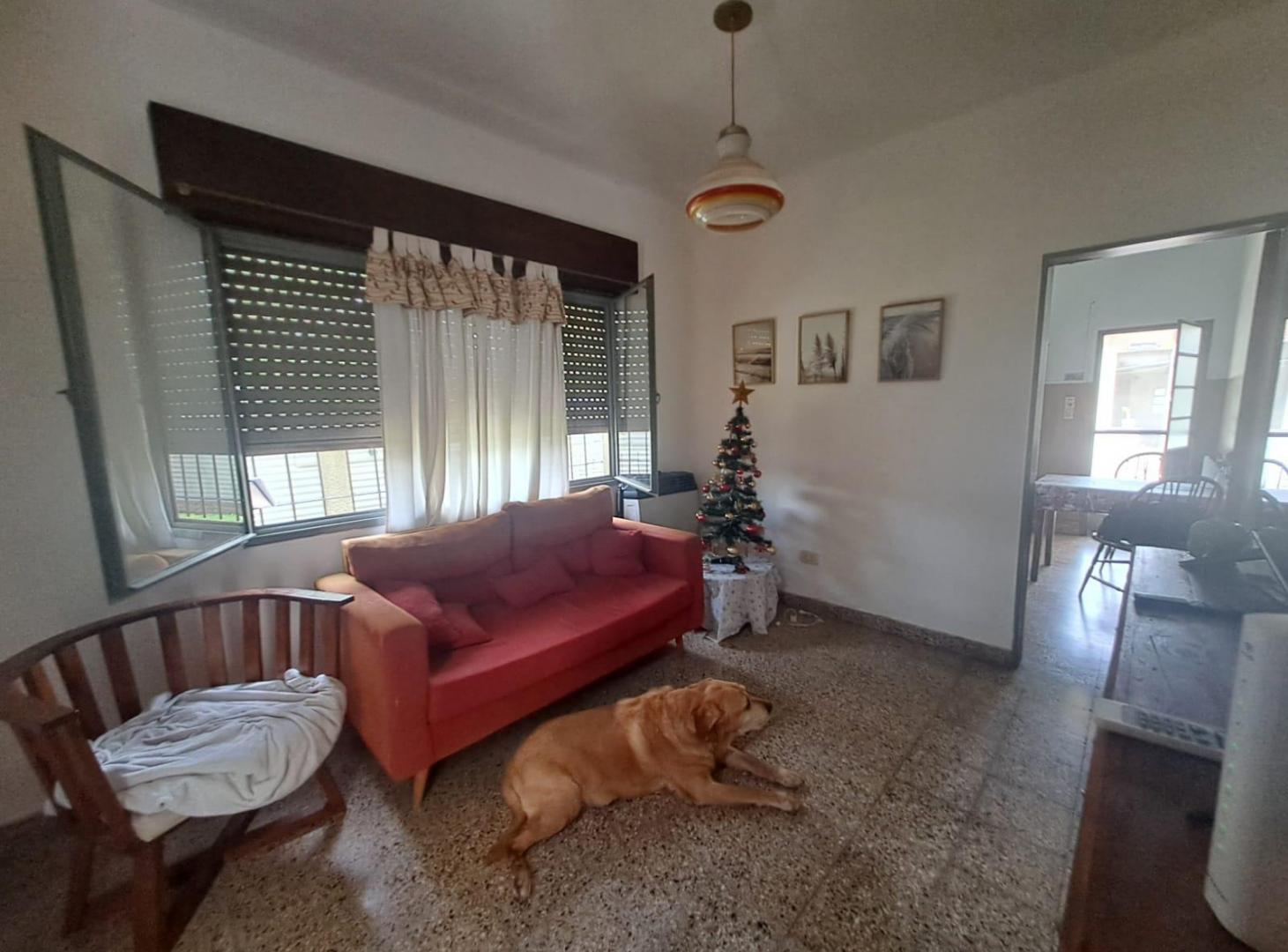 VENTA 2 CASAS 1 LOCAL ESCOBAR CENTRO PARRILLA PILETA JARDIN QUINCHO