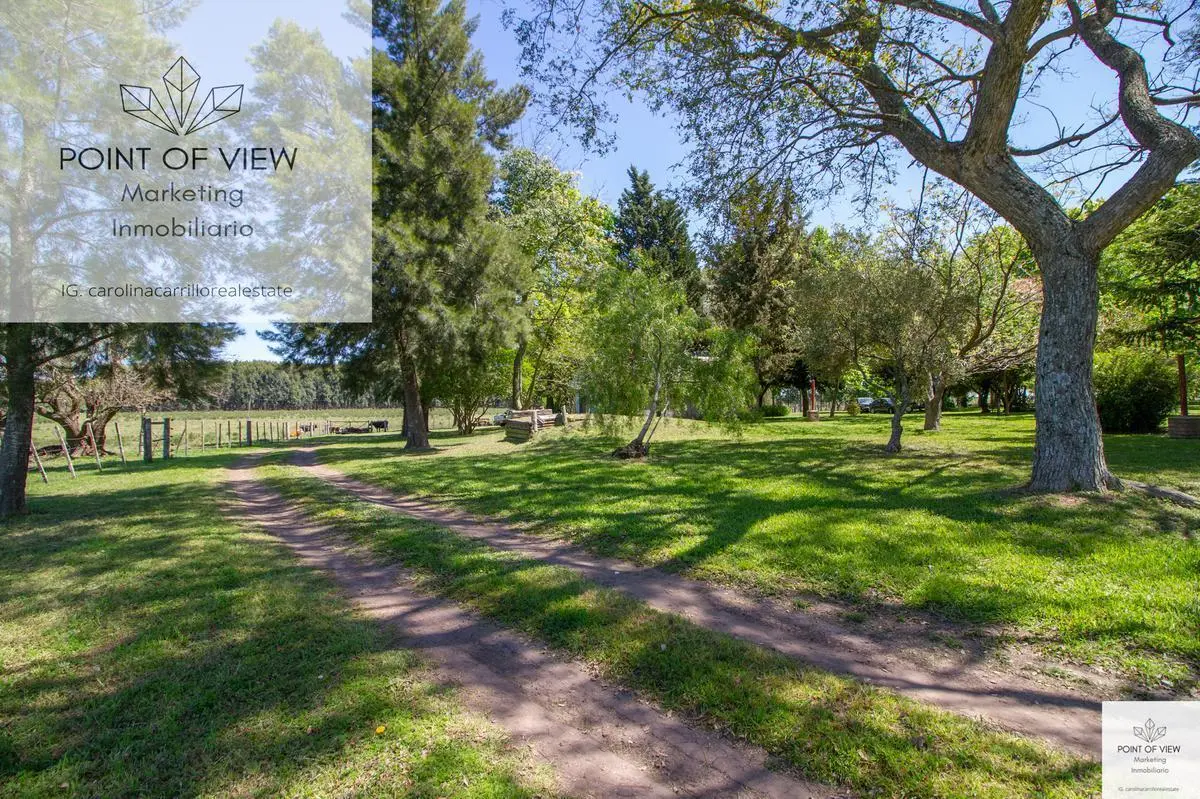 VENTA DE  ESTANCIA DE 100 HAS CON PRODUCCION AGRICOLA GANADERA - CONCEPCION DEL URUGUAY - ENTRE RIOS 4