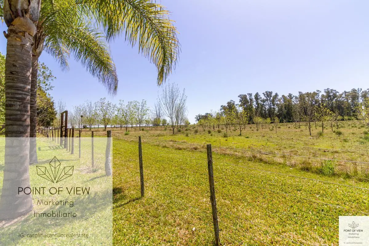 VENTA DE  ESTANCIA DE 100 HAS CON PRODUCCION AGRICOLA GANADERA - CONCEPCION DEL URUGUAY - ENTRE RIOS 5