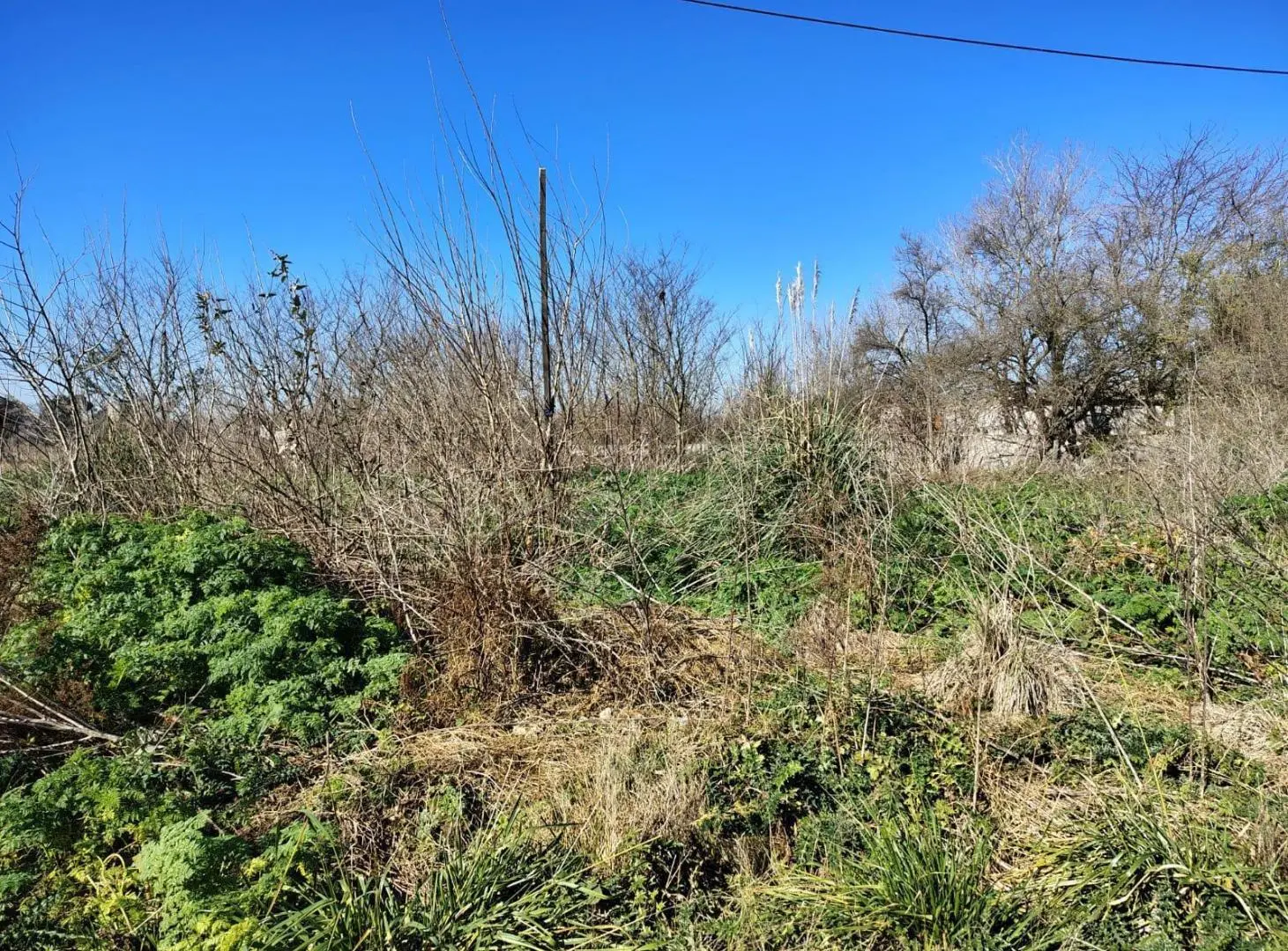 VENTA LOTES SAN VICENTE DOMSEELAR SIN EXPENSAS 4