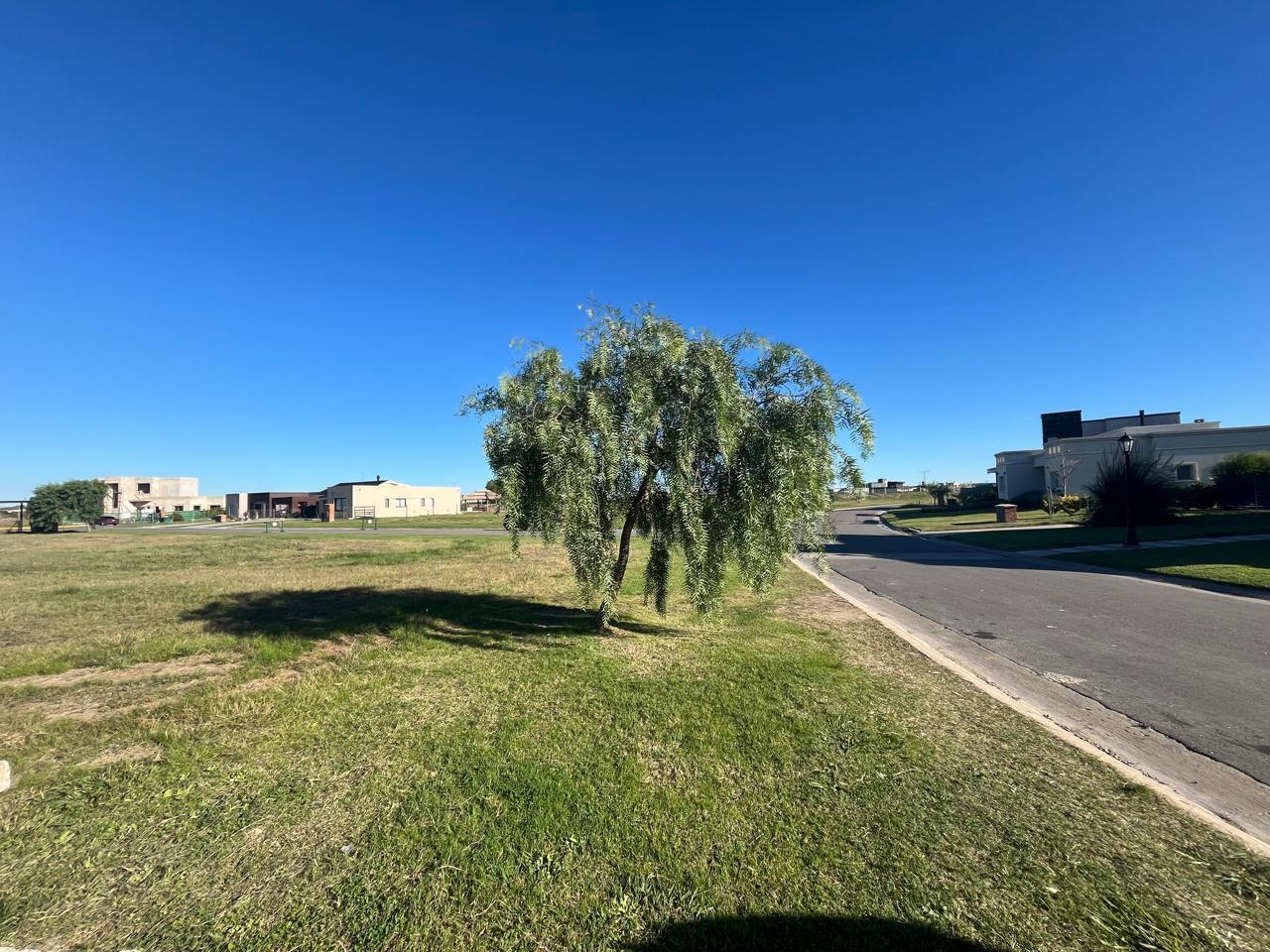 Foto de Venta de Terreno en Barrio San Sebastian Area con Laguna - Interno, imagen 5