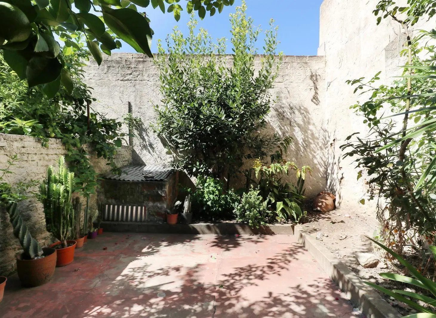 VENTA CASA EN FLORESTA - LOTE PROPIO - 2 PLANTAS - LOCAL COMERCIAL - PERMUTA - APTO CREDITO 5