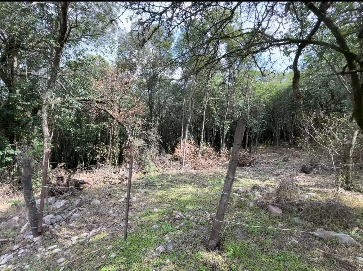 Venta Terreno 5 Has - 50000 mts - Cordoba - Salsipuedes - Permuta y Financia - Emprendimiento 3