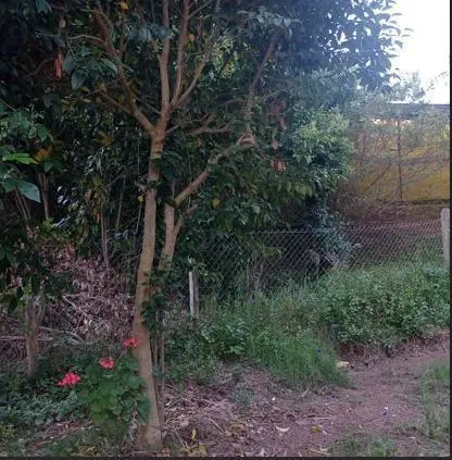 VENTA LOTE COSTA ATLANTICA  VALERIA DEL MAR PINAMAR PERMUTA Y FINANCIA 3