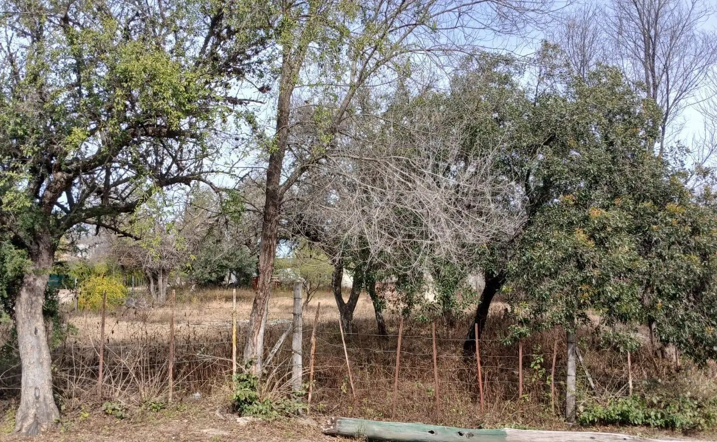 VENTA TERRENO A METROS DEL RIO - CABALANGO - CORDOBA 3