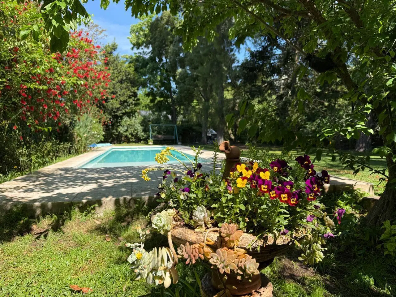 Casa en Venta Barrio El Cazador 3 dormitorios Piscina frutales horno de barro Acepta propiedad 2
