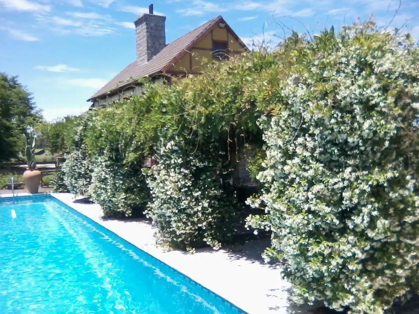 Foto de VENTA CASA Y CAMPO 26.5 HA 6 AMBIENTES FINANCIACION PRIVADA PERMUTA CASTELLI BS AS, imagen 2