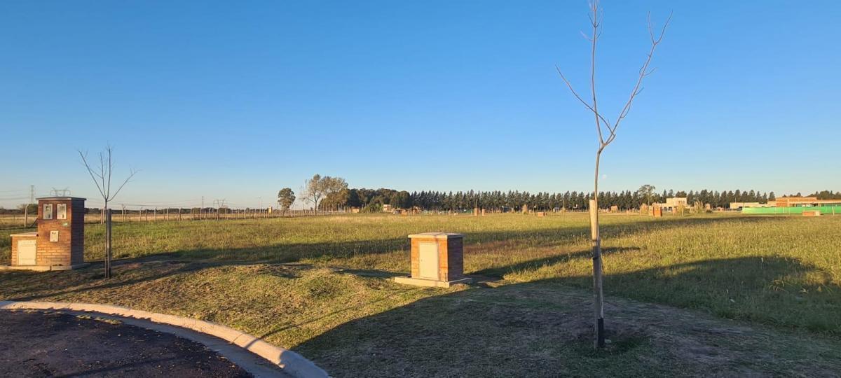 Foto de Lote ubicado en el barrio San Felipe - dentro del complejo San Simón, imagen 5