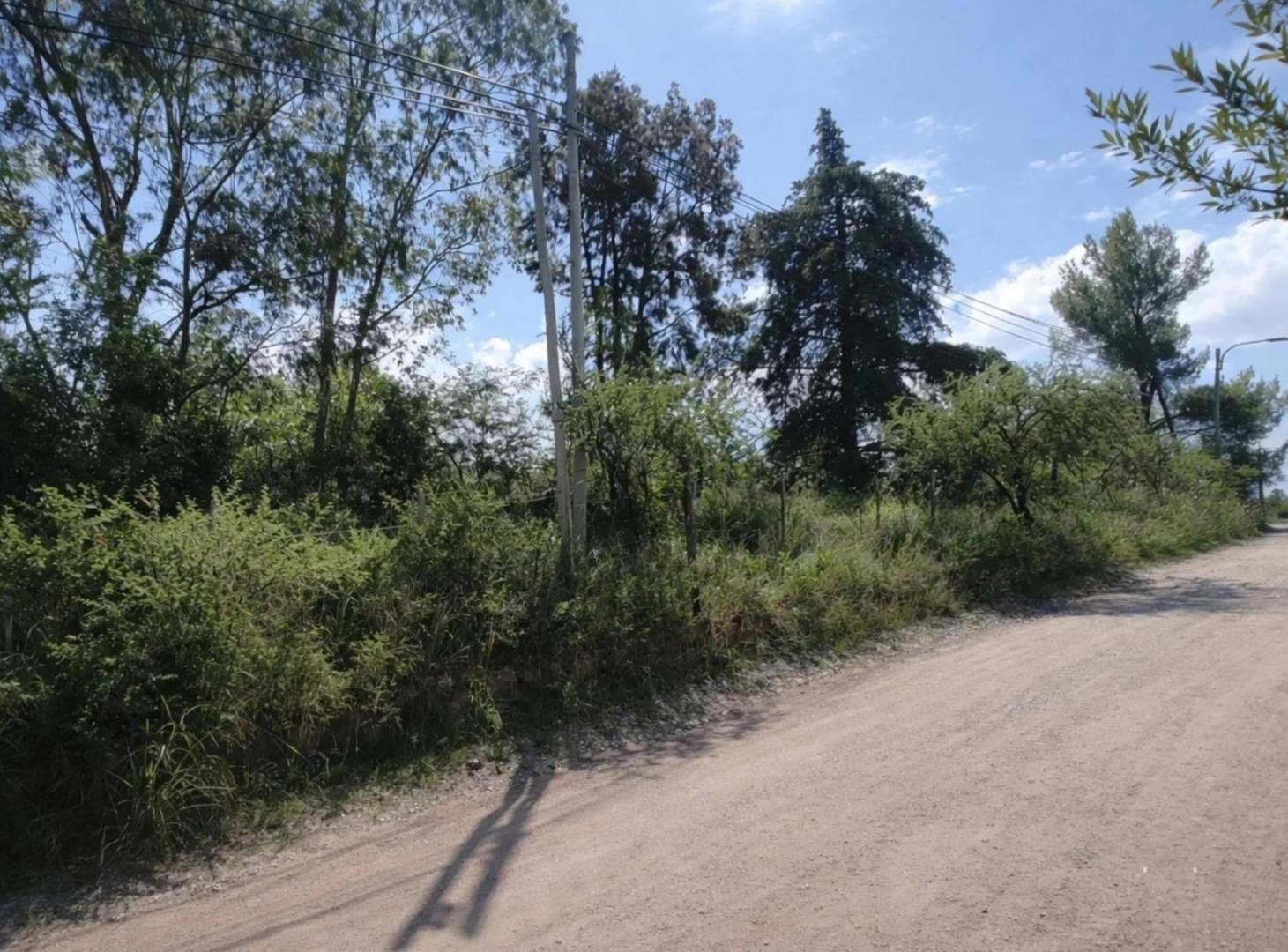 Foto de Venta 3 Lotes Contiguos sobre Ruta 38 - Venta Individual o en Bloque, imagen 2