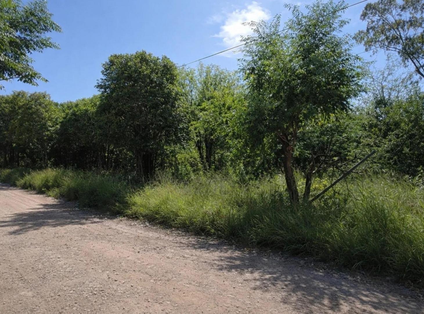 Foto de Venta 3 Lotes Contiguos sobre Ruta 38 - Venta Individual o en Bloque, imagen 4