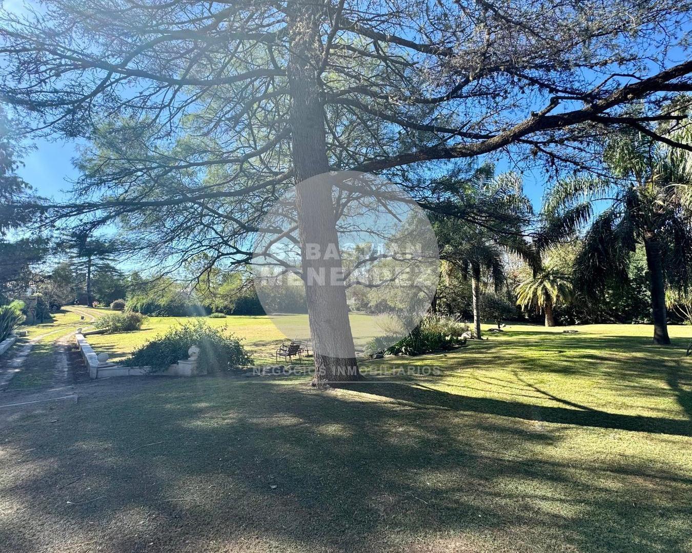 Foto de Lote de 6328 m2 - Sobre Av. Recta Martinolli - Desarrollo Inmobiliario, imagen 5