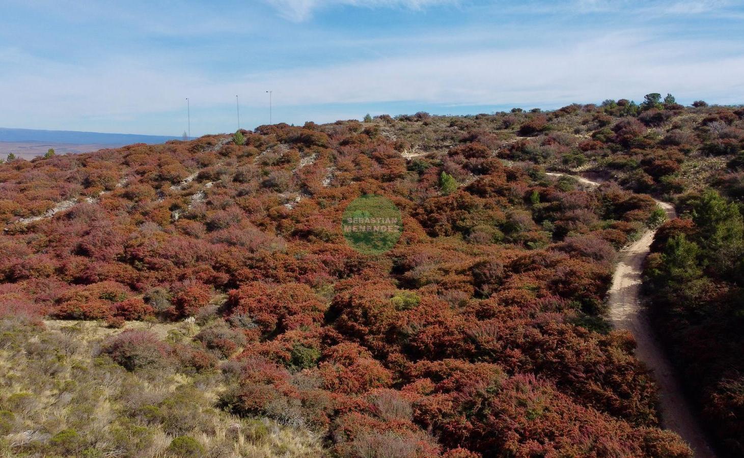 Foto de LA CUMBRE 6.8 HECTÀREAS - ESCRITURA - CON VISTA - LOTE EN VENTA, imagen 2