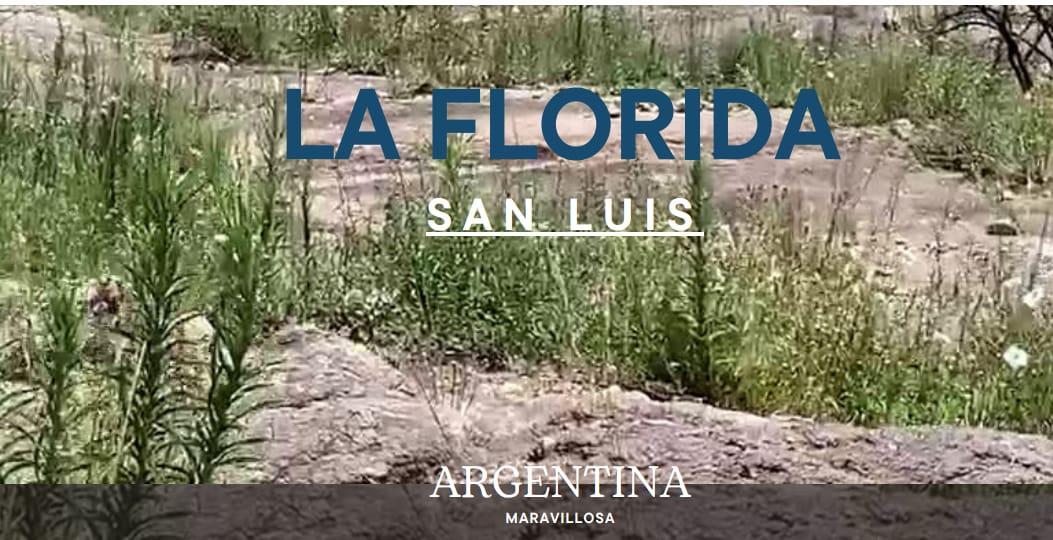 Foto de Fracción en La Florida, Prov. de San Luis. 1 de 31500 m2 y otra de, imagen 3