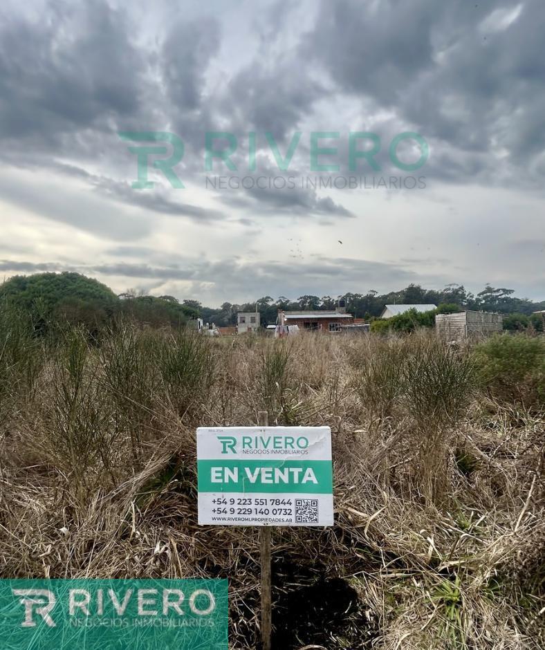 Foto de Lote terreno, imagen 4