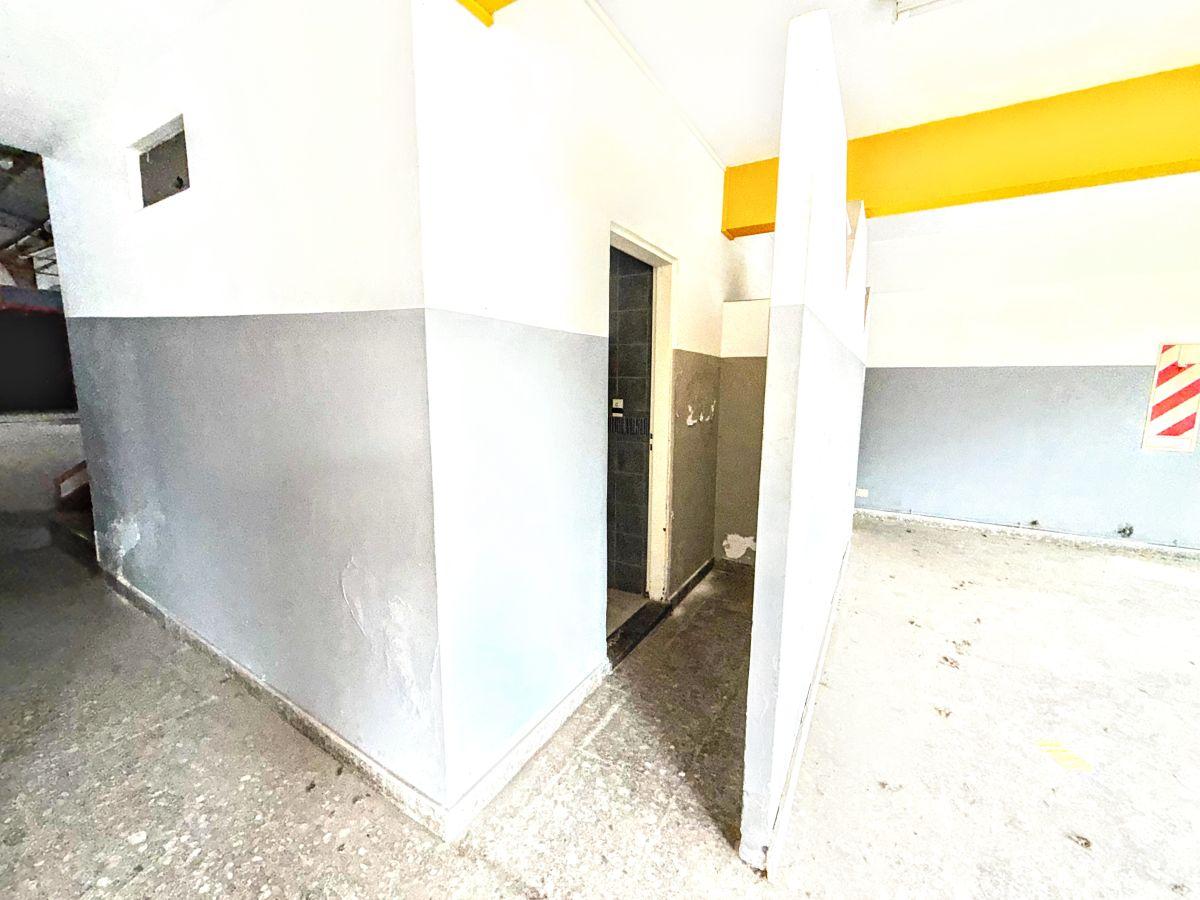 Foto de IMPORTANTE PROPIEDAD COMERCIAL DE 1.100 M² EN VILLA BOSCH EN 2 PLANTAS, imagen 4