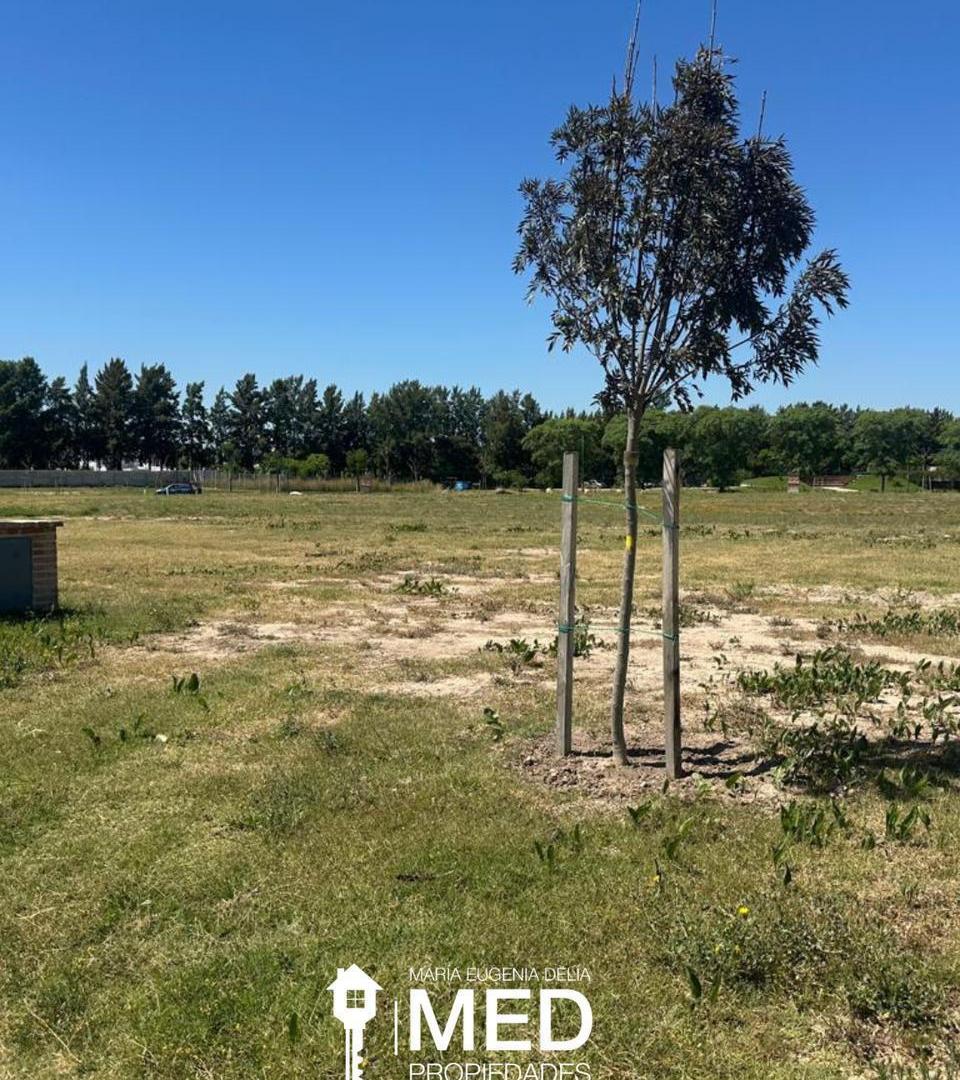 Foto de Terreno en Nordelta, imagen 1