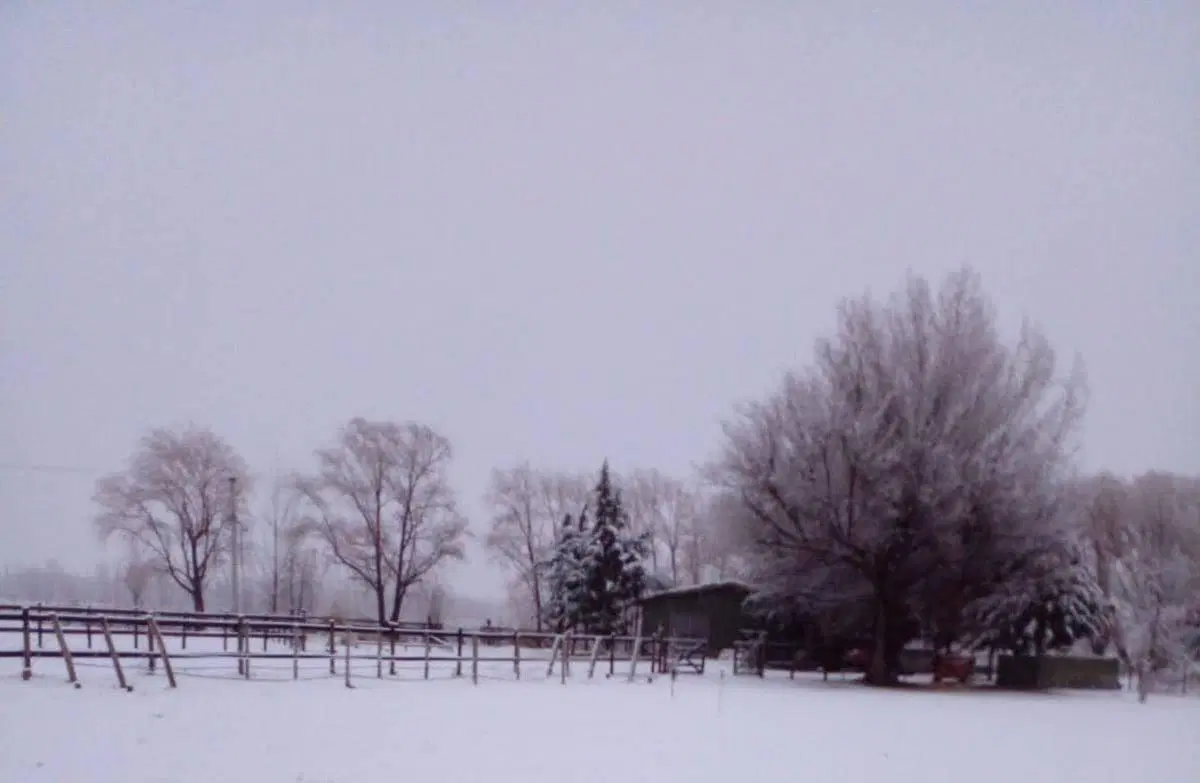 VENTA LOTE TUNUYAN MENDOZA COUNTRY 5