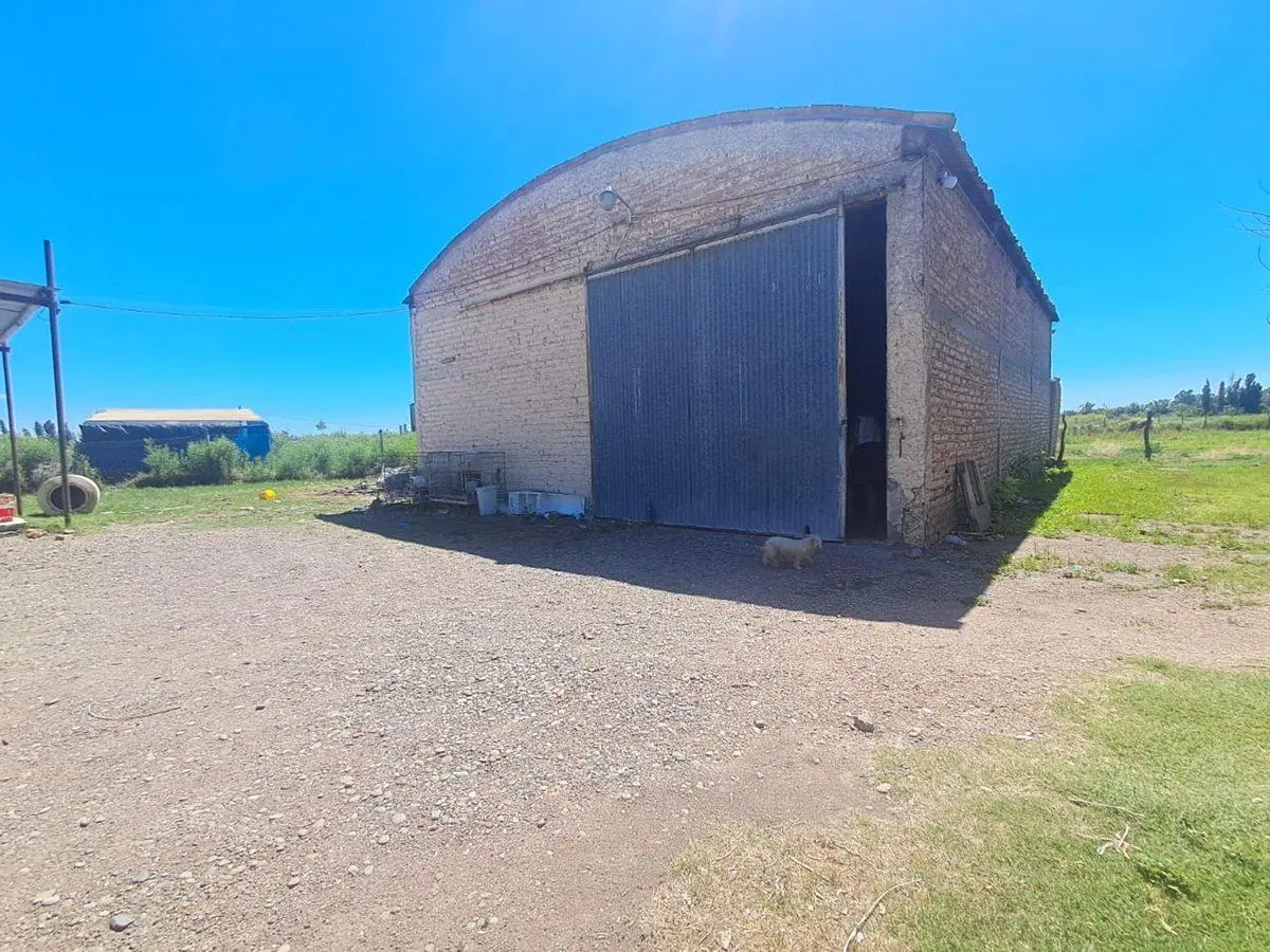 VENTA | 2 GALPONES – CAÑADA SECA, SAN RAFAEL, Mza 5