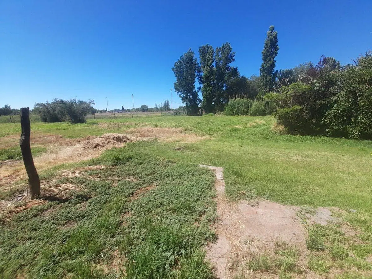 VENTA | 2 GALPONES – CAÑADA SECA, SAN RAFAEL, Mza 4