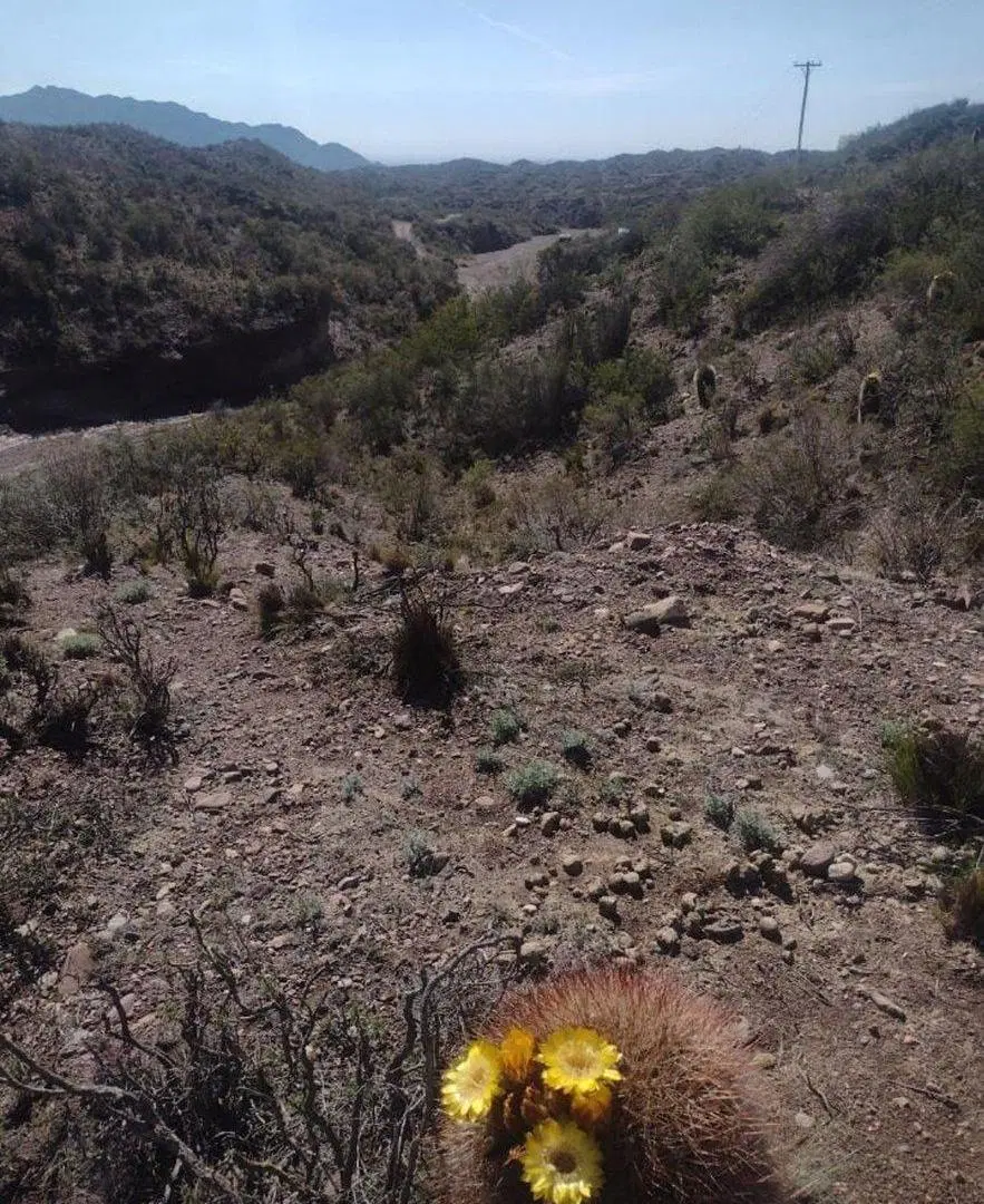 Venta de lotes en Cacheuta, Mendoza 2