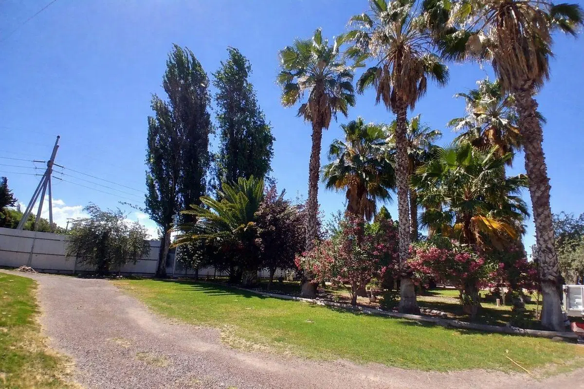 SALÓN  + QUINCHO Y PILETA + CASA 3