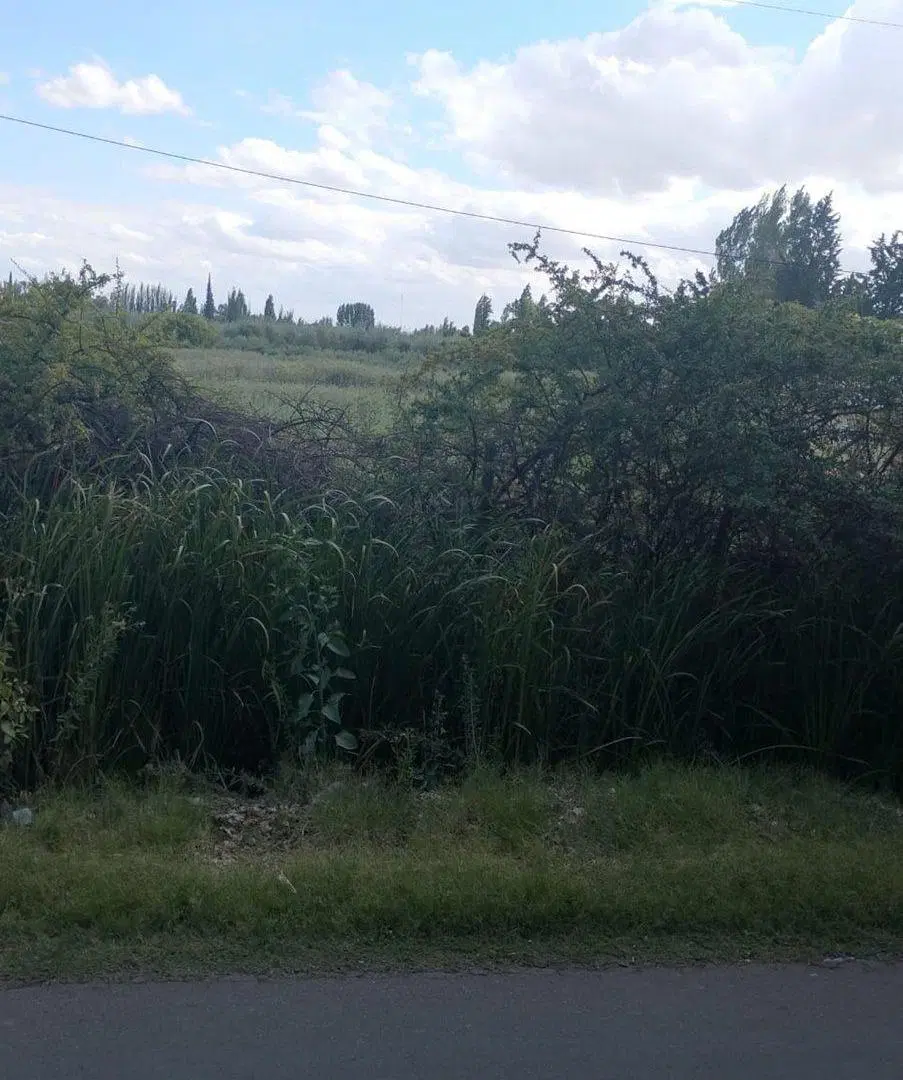 VENTA TERRENO EN CORRALITOS. Guaymallén 2