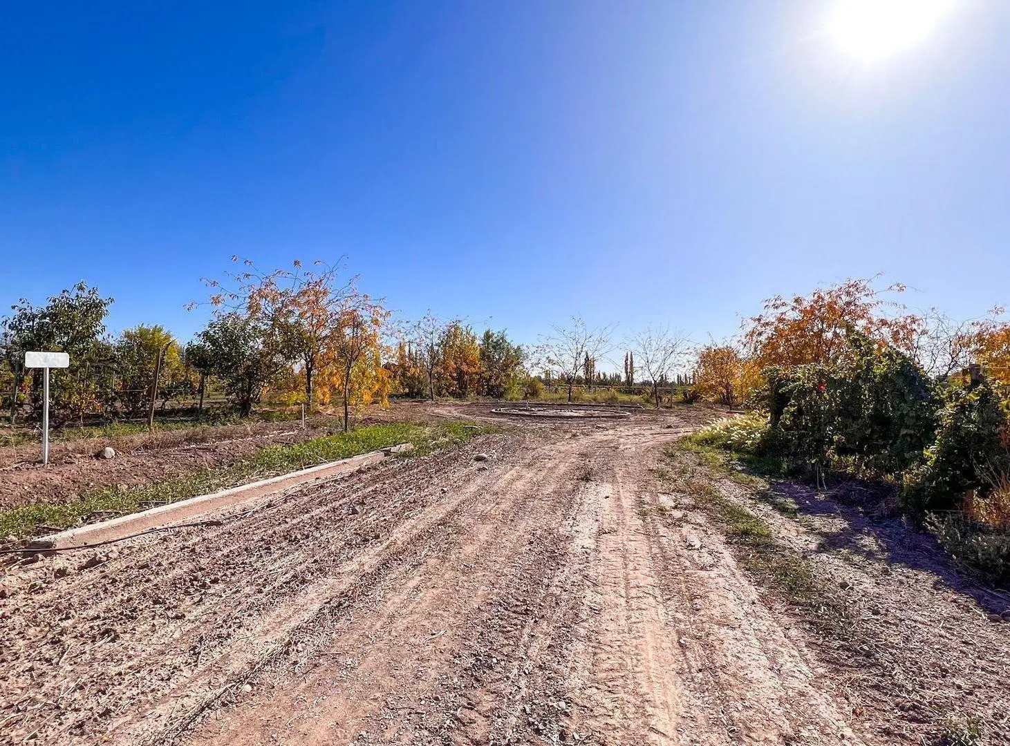 VENTA LOTE CON VIÑEDO MENDOZA  LUJAN DE CUYO PERD 3