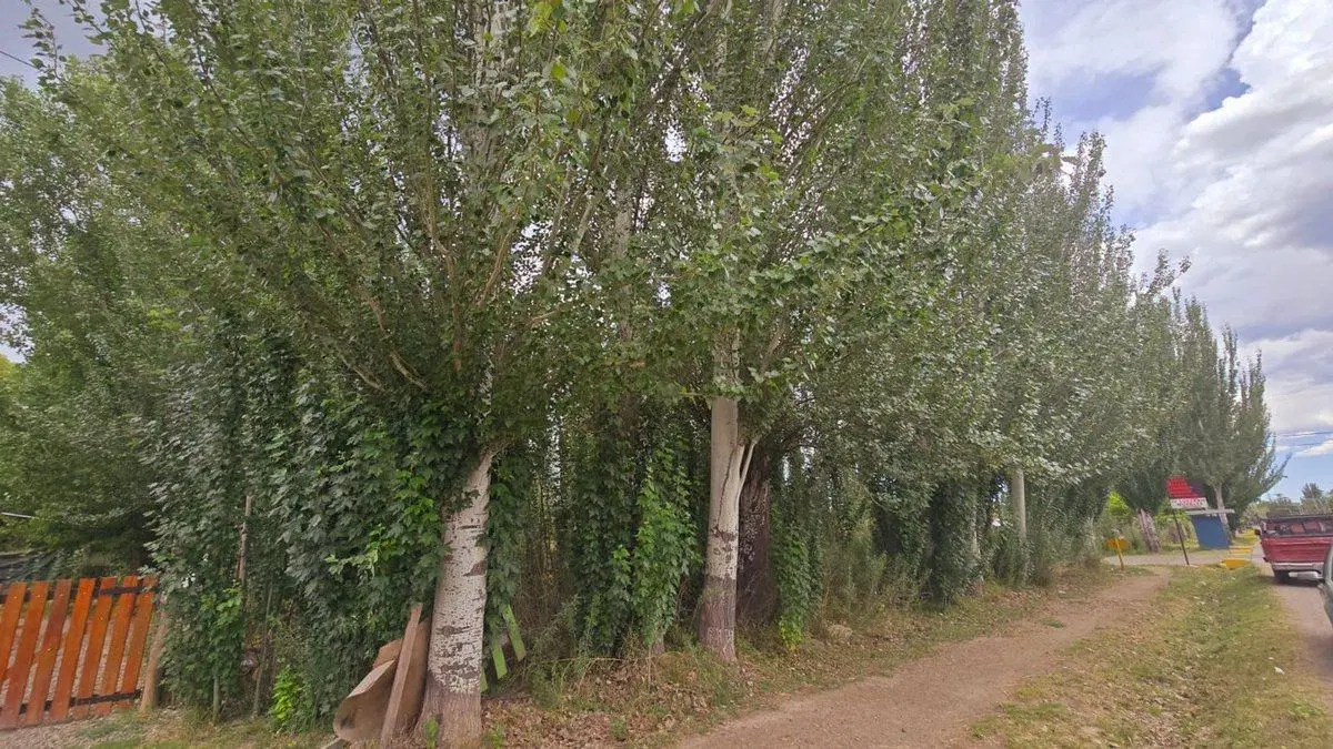 Venta Lote, esquina inmejorable, Colonia las Rosas 3