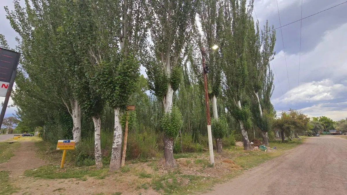 Venta Lote, esquina inmejorable, Colonia las Rosas 2