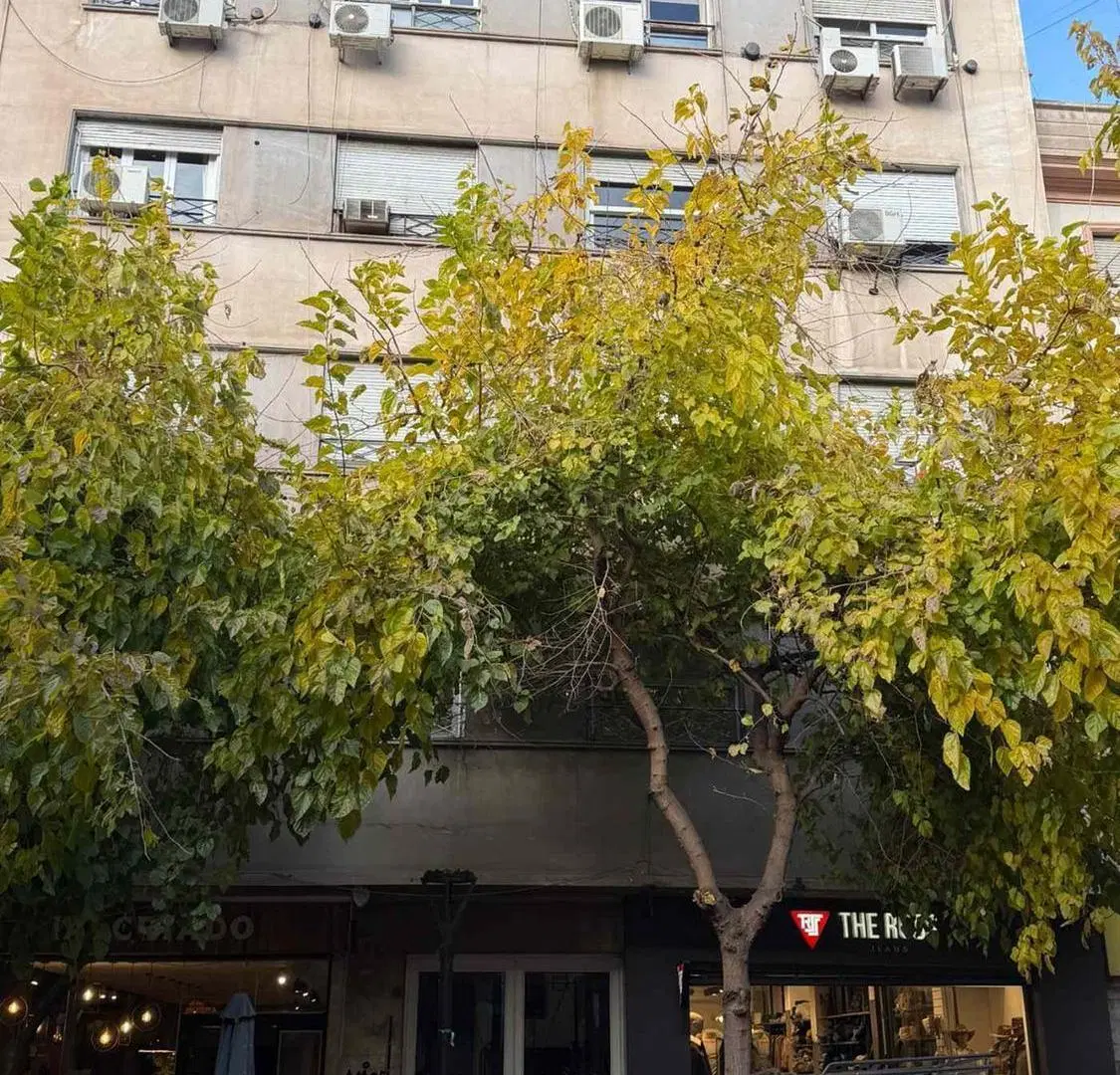 VENTA DEPARTAMENTO EN CENTRO DE MENDOZA 2 HAB 2