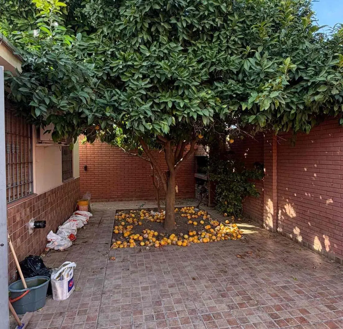 VENTA HERMOSA CASA EN SEXTA SECCION 4