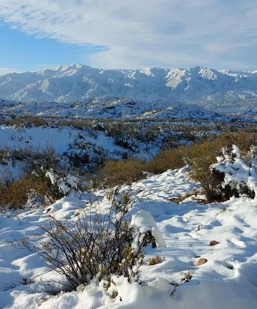 VENTA DE LOTE MENDOZA LUJAN DE CUYO POTRERILLOS 4