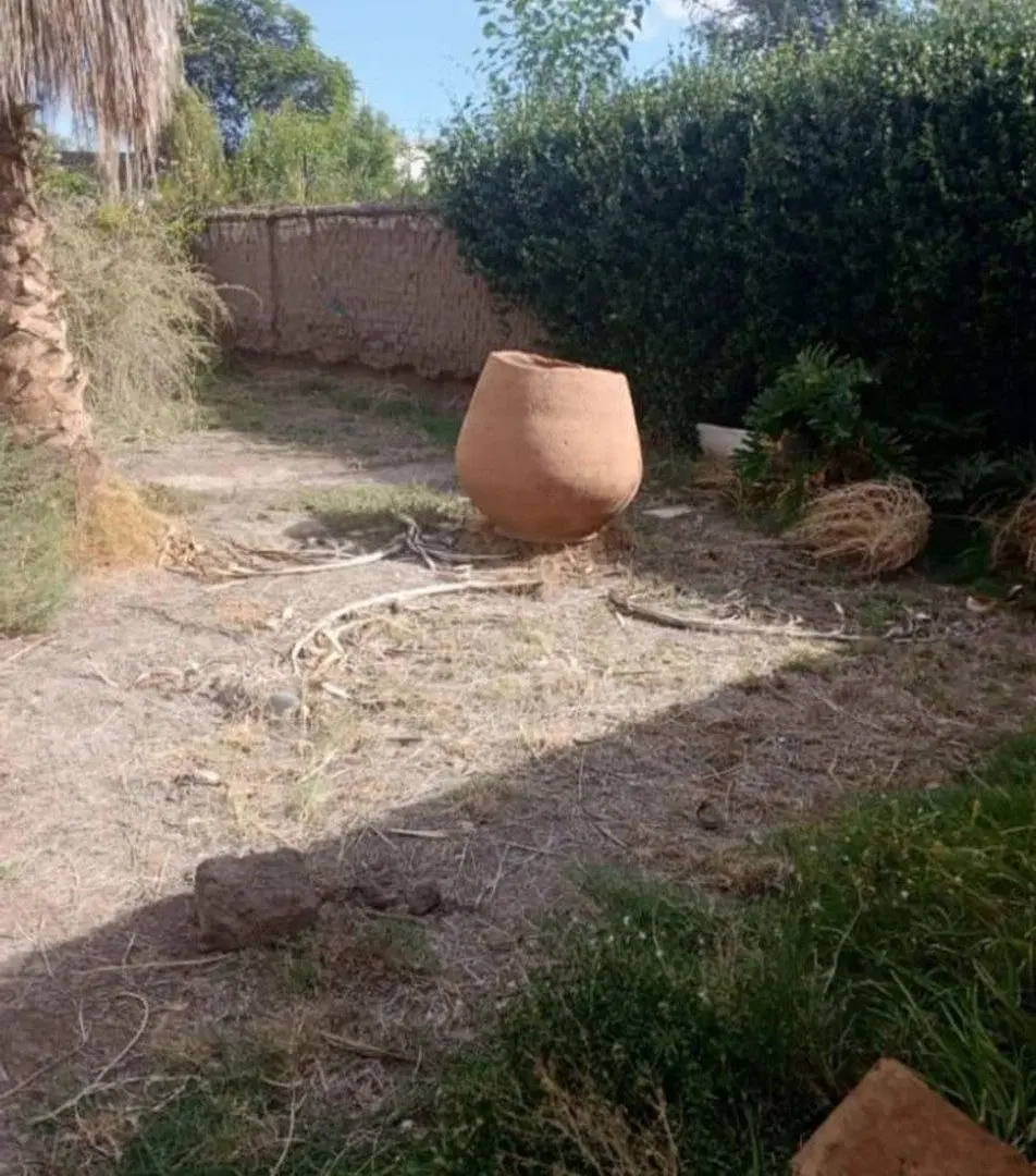 VENTA DE LOTE EN MENDOZA SEXTA TIBURCIO BENEGAS 4