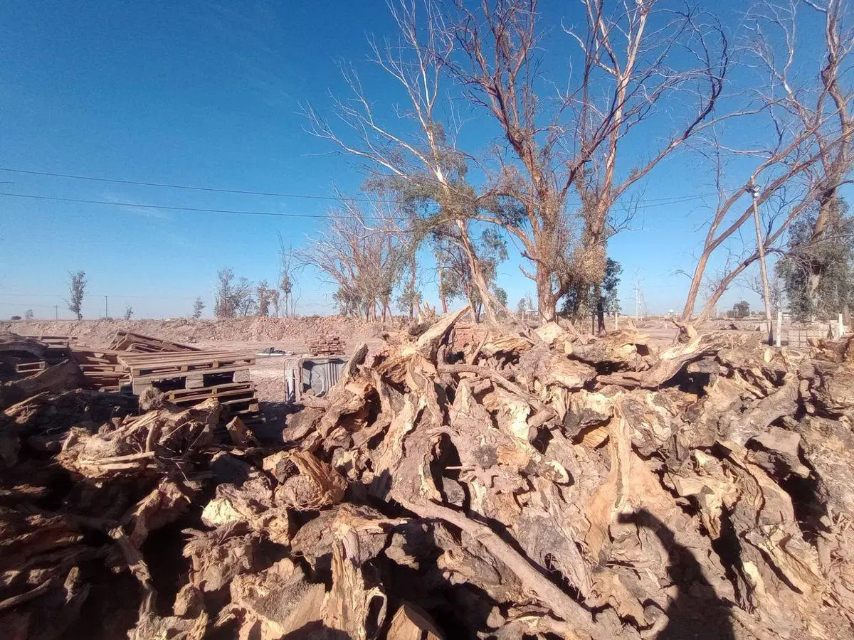 Se vende terreno y galpón, las Heras 2