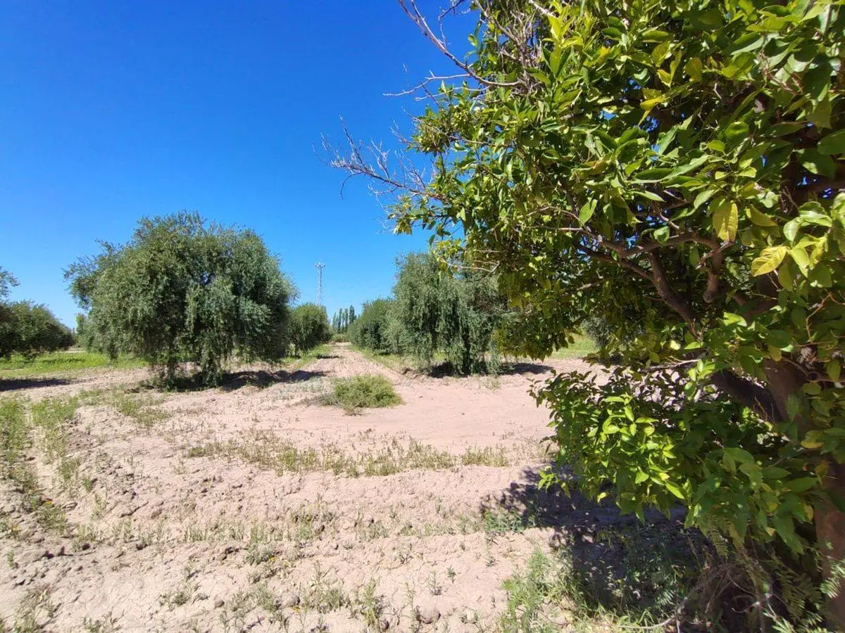 Se vende terreno en Maipú, Mendoza 5