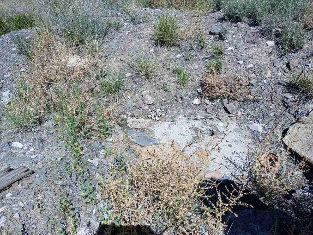 VENTA LOTE B° LA ANGOSTURA EL CHALLAO MENDOZA 8