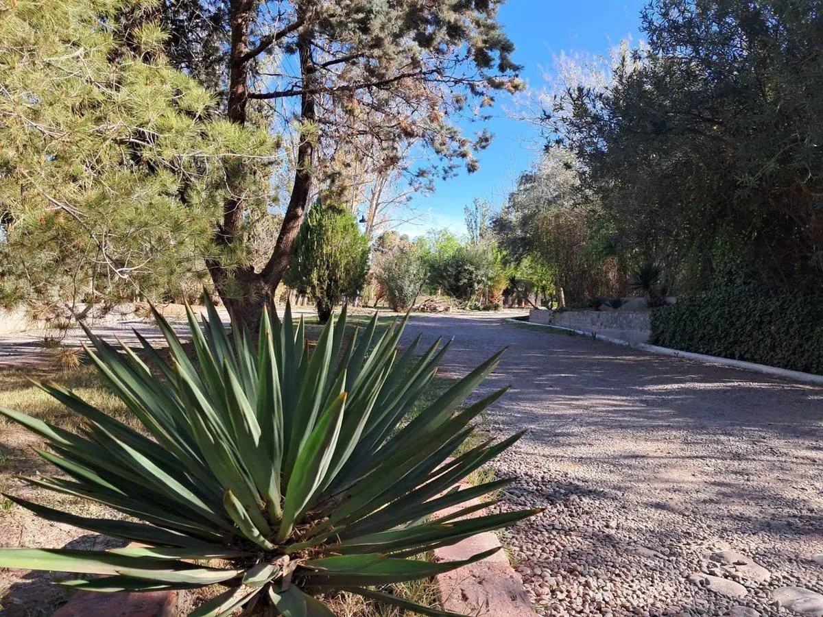 VENTA DE TERRENO EN BARRIO PRIVADO CLUB DE CAMPO 2