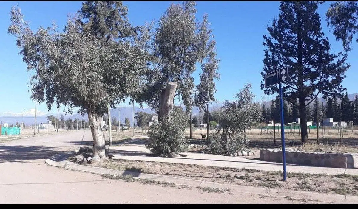Se vende lote en Lujan de cuyo, Mendoza 2