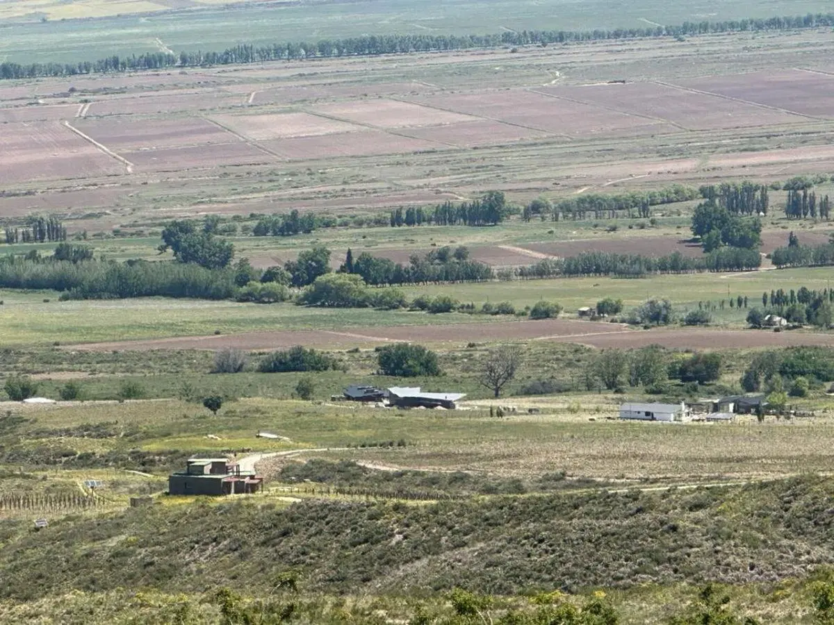 VENTA LOTE TUPUNGATO MENDOZA LA CARRERA 8