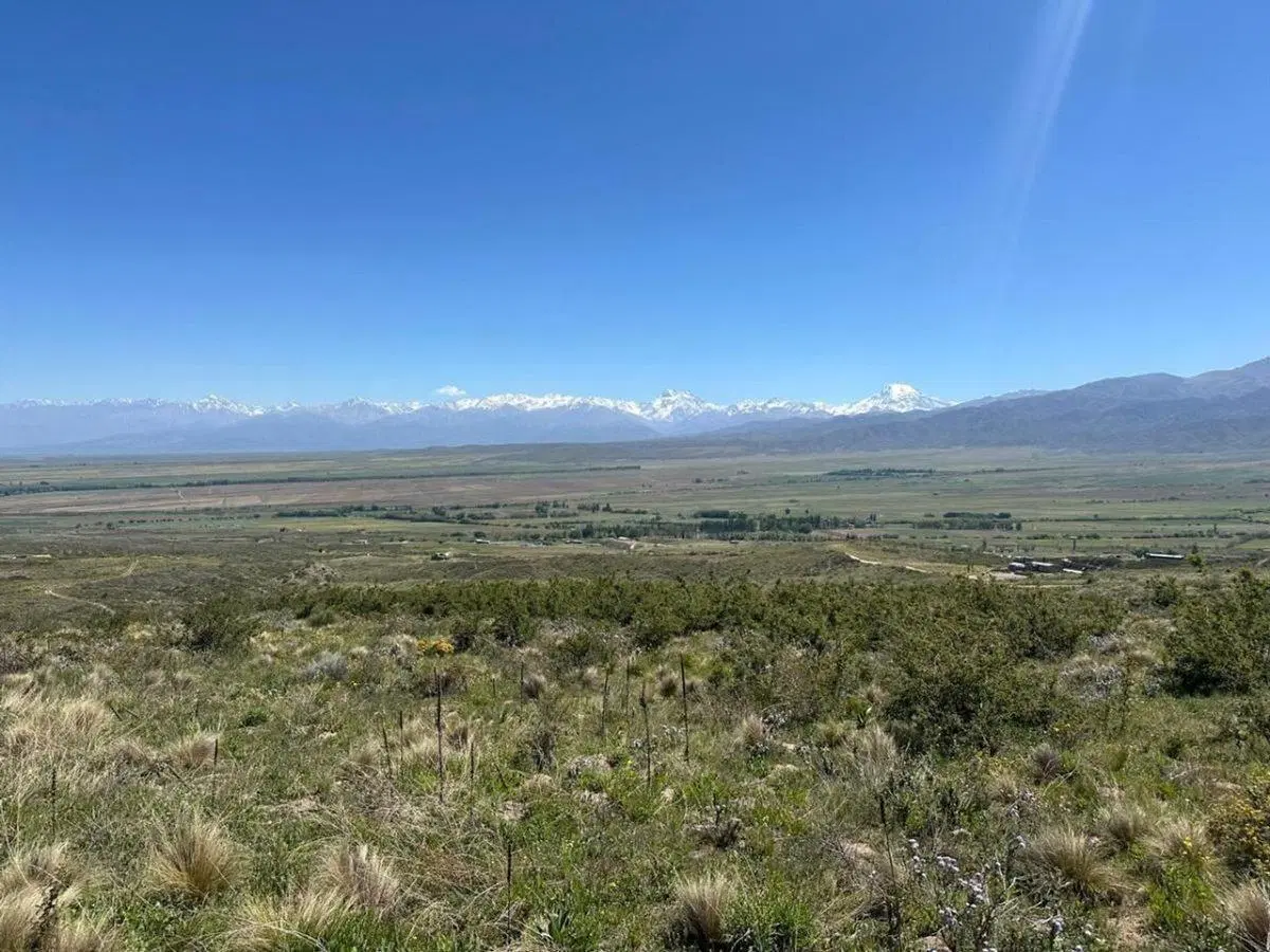 VENTA LOTE TUPUNGATO MENDOZA LA CARRERA 5