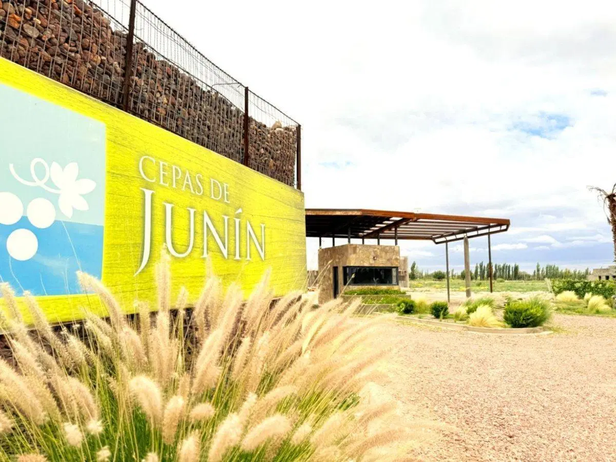 VENTA CASA BARRIO CEPAS DE JUNIN MENDOZA 3