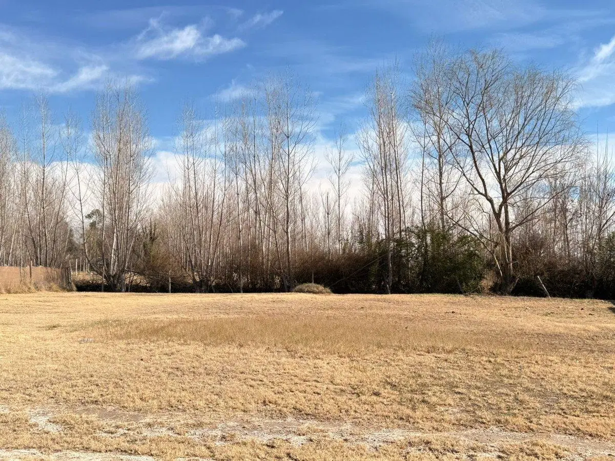 VENTA DE LOTE EN VALLE DE UCO, EXCELENTE INVERSIÓN 5