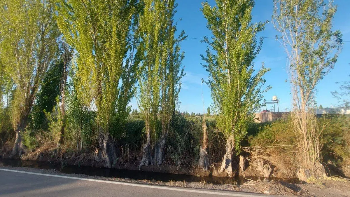 VENTA LOTE LOS CORRALITOS GUAYMALLEN MENDOZA 4