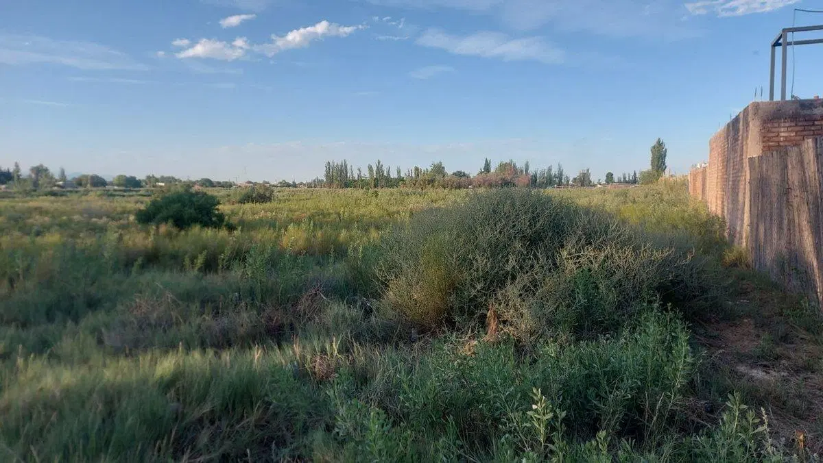 VENTA LOTE LOS CORRALITOS GUAYMALLEN MENDOZA 2