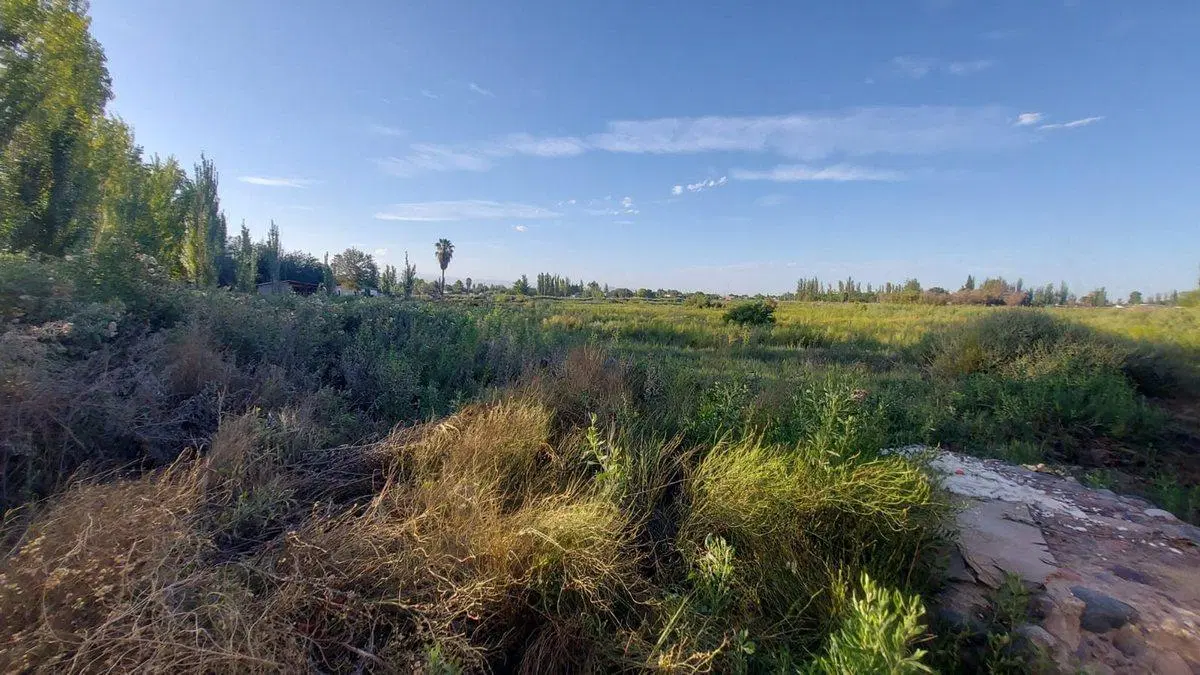 VENTA LOTE LOS CORRALITOS GUAYMALLEN MENDOZA 3