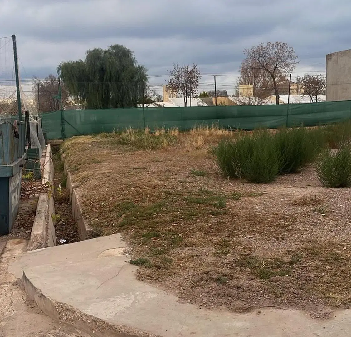 VENTA LOTE LUJAN DE CUYO MENDOZA LOS CAROLINOS 4