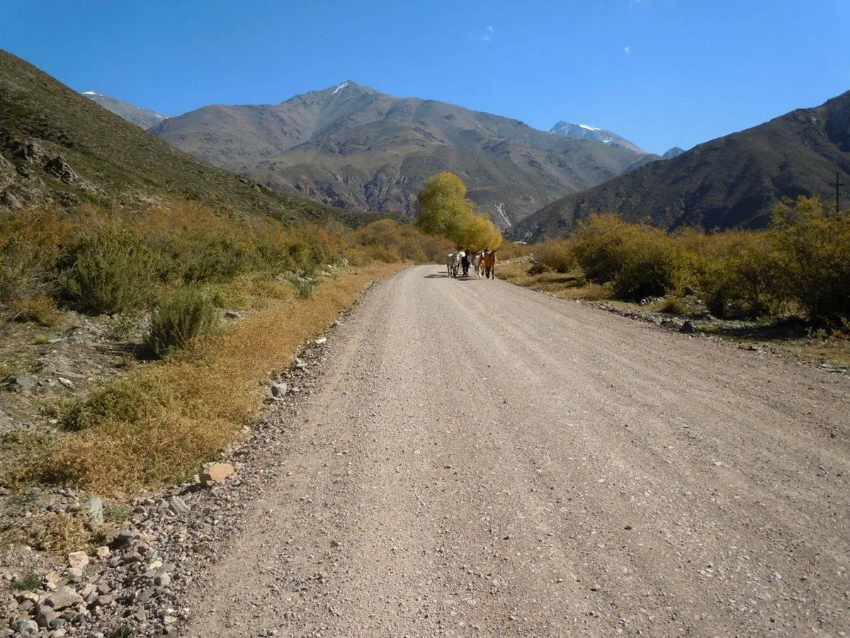 Terreno en Venta - Potrerillos - Mendoza 5