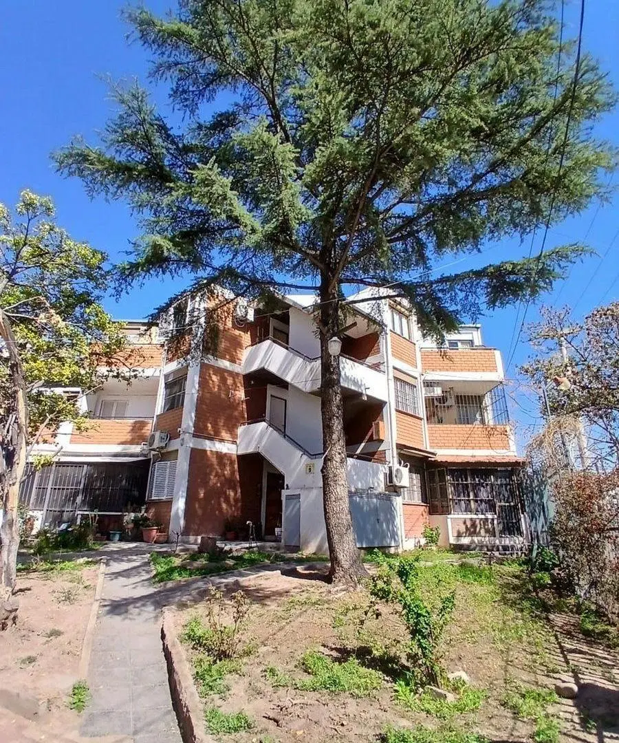 Alquiler de Departamento, Las Heras, Mendoza 8