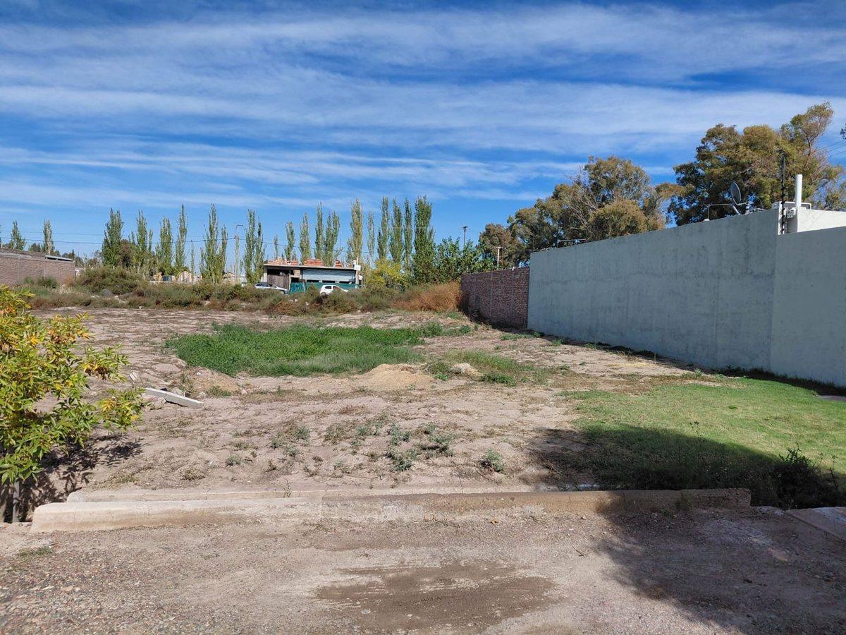 VENTA LOTE SAN MARTIN MENDOZA